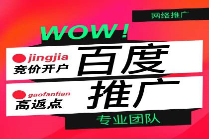 SEM广告投放策略案例分析