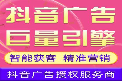 SEM广告投放的技巧与策略——成功案例分享